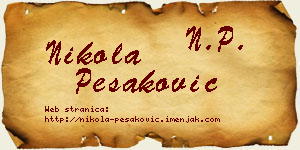 Nikola Pešaković vizit kartica
